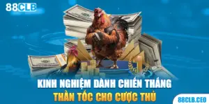 Kinh nghiệm dành chiến thắng thần tốc cho cược thủ