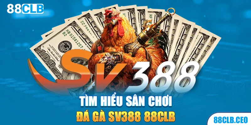 Tìm hiểu sân chơi đá gà SV388 88CLB